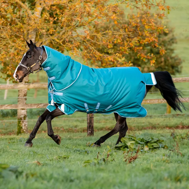 Horseware Amigo Bravo 12 Plus Heavy Weight Turnout Rug Storm Green/Turquoise/Aqua